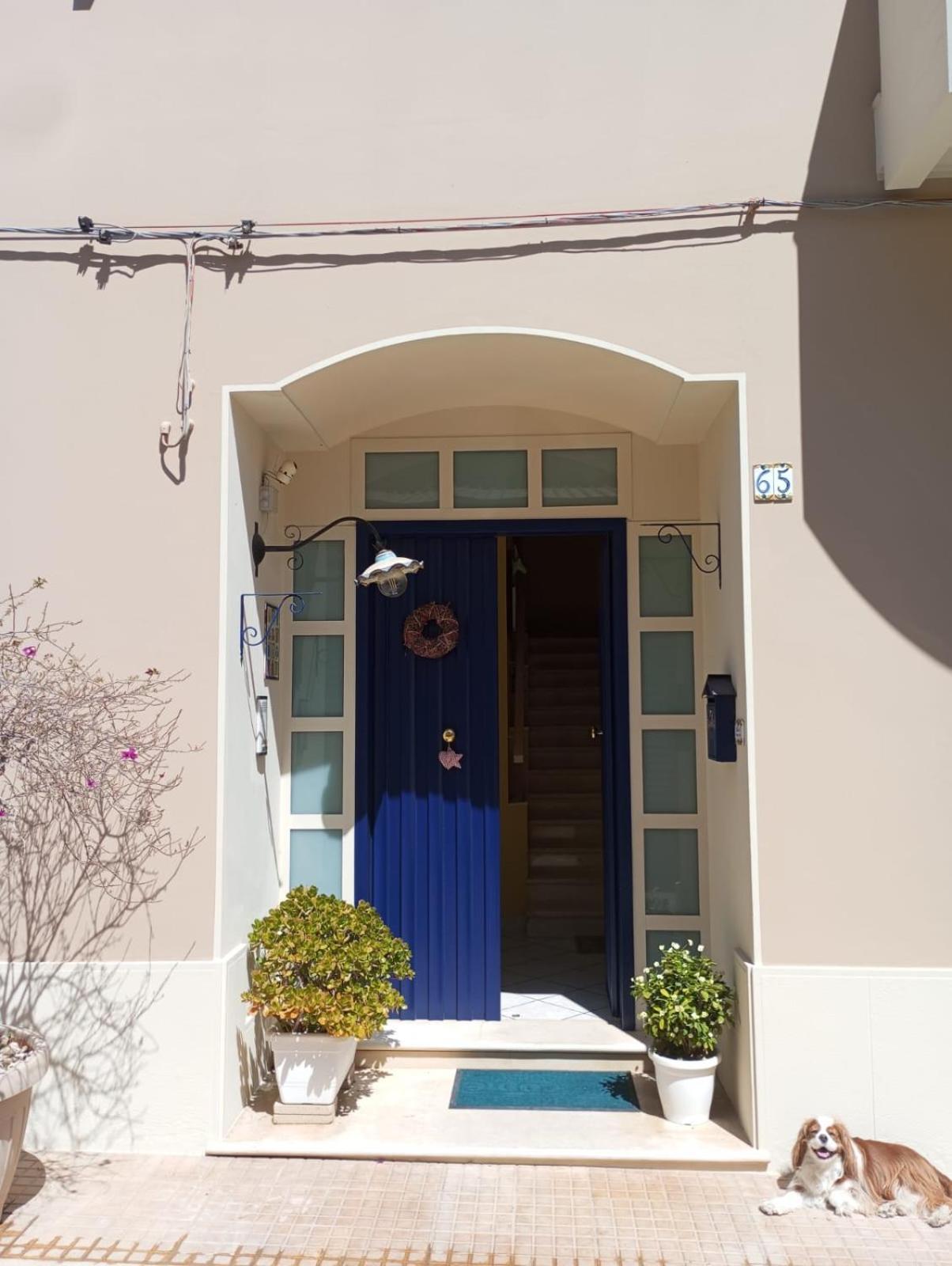 アヴォラ"A Casa Di Lele"アパートメント エクステリア 写真